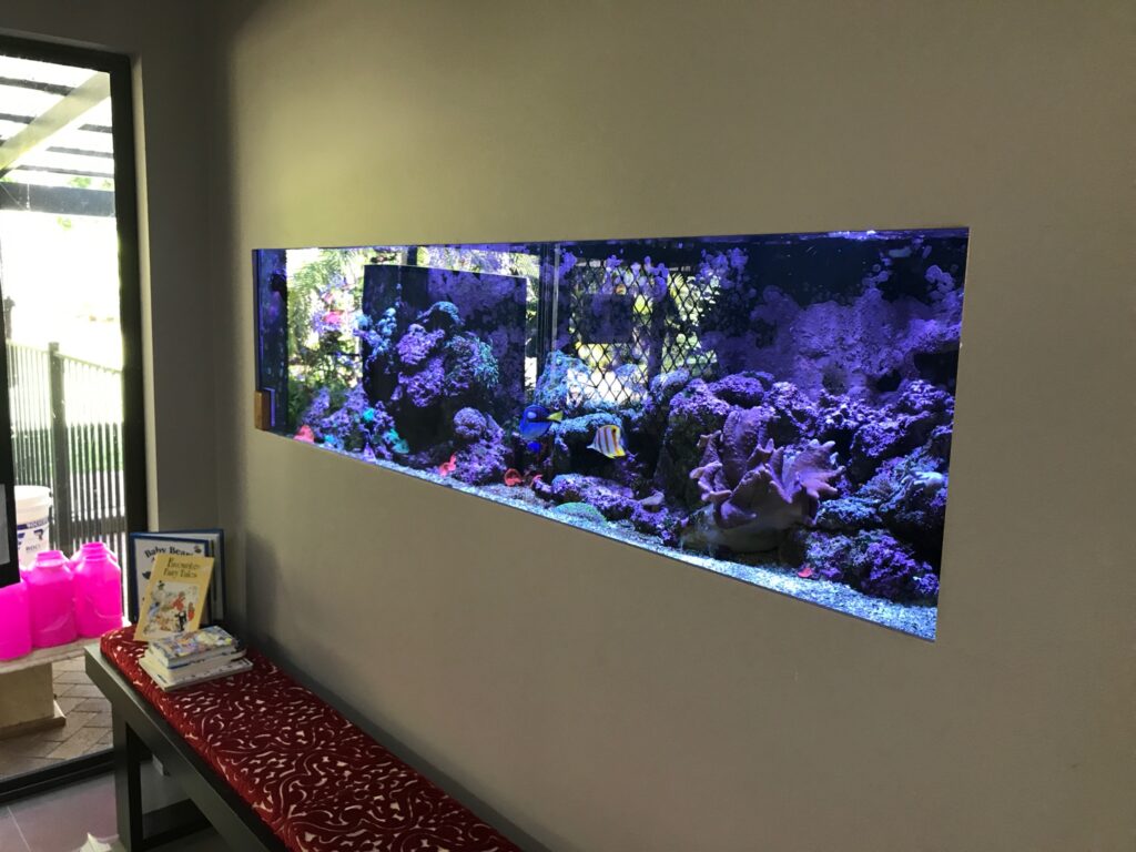 Stunning Professionally Designed Custom Aquarium Solutions image